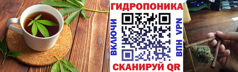 shop состав  Невель  Печенье с ТГК марихуана  как найти наркотики 