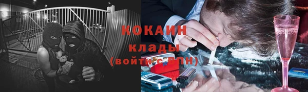 ГАЛЛЮЦИНОГЕННЫЕ ГРИБЫ Снежногорск