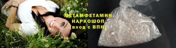 сатива Беломорск