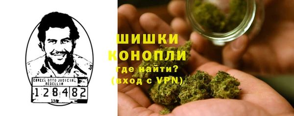 сатива Беломорск