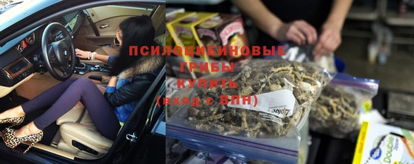 сатива Беломорск
