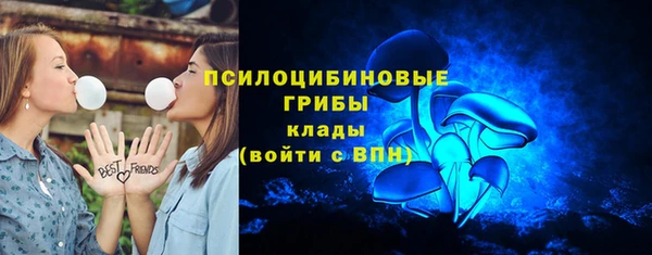 сатива Беломорск