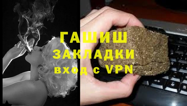 сатива Беломорск
