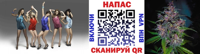 наркота  Невель  Марихуана сатива 